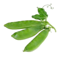 Pound of Snow Peas image