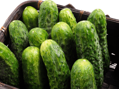 Pound of Pickling Cucumber image