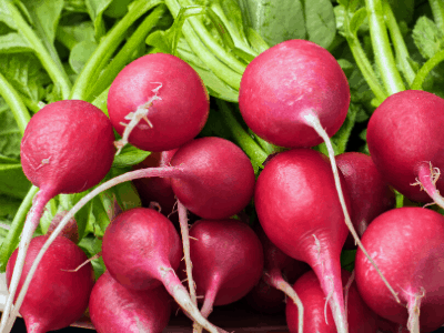 Pound of Radishes image