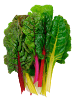 Pound of Swiss Chard image